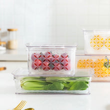 Refrigerator Food Container With Drainer and Lid